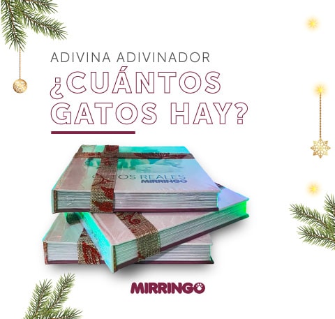 Libro de gatos